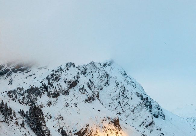 Appartement à Avoriaz - Le Caribou - IMMODREAMS - Avoriaz Appartement à Avoriaz - Le Caribou - IMMODREAMS - Avoriaz